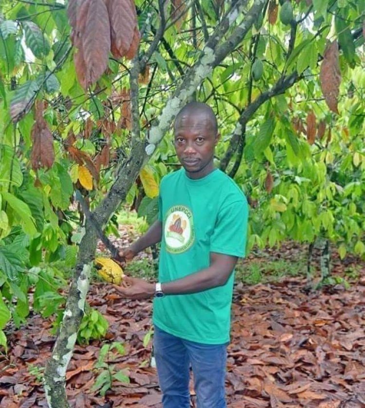 Côte d’Ivoire-Café-cacao-les enfants des planteurs : « Nous avons des soucis »
