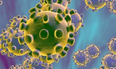 Monde-covid-19 : « Ce que vous devez savoir pour vous protéger et protéger votre famille » (Unicef)