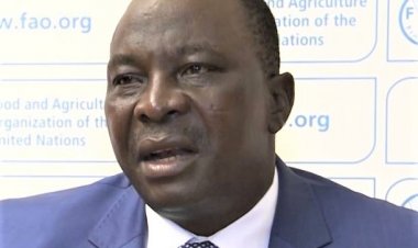 Côte d’Ivoire : « Gbagbo regrette le temps de ses cortèges arrogants » (Adjoumani, Pp du Rhdp)