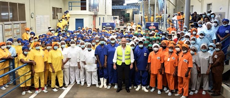 Côte d’Ivoire - Activités du thon : « le grand chômage » en embuscade !