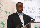 Afrique : « L’agriculture, le plus grand business du continent » (Adesina, pdt de la BAD)