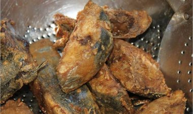 Côte d’Ivoire (Prix plafonné du « poisson garba ») : la Fac-ci met en garde les « fossoyeurs » des droits des consommateurs !