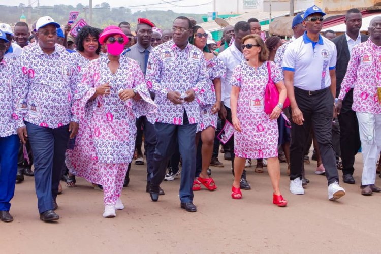 Côte d’Ivoire (Fête la liberté 2022) : « Un pays n'avance pas en dissimulant ses problèmes » (Affi, leader du Fpi) 
