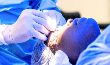 Monde (Sciences) : des aveugles retrouvent la vue grâce à un implant fait de cellules de peau de cochon