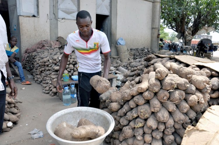 Côte d’Ivoire-Burkina Faso (Terrorisme) : des actions sociales pour booster la lutte cette pratique
