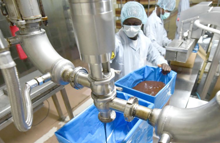 Côte d’Ivoire (Transformation locale du cacao) : une capacité de broyage de 1 072 000 tonnes d’ici à octobre 2023