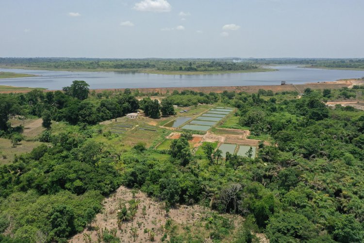 Côte d’Ivoire (Aquaculture) : Station Loka-Bouaké, un maillon essentiel dans la stratégie de développement
