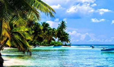 Côte d'Ivoire (Météo) : le Bulletin du 19 février 2023 (Sodexam)