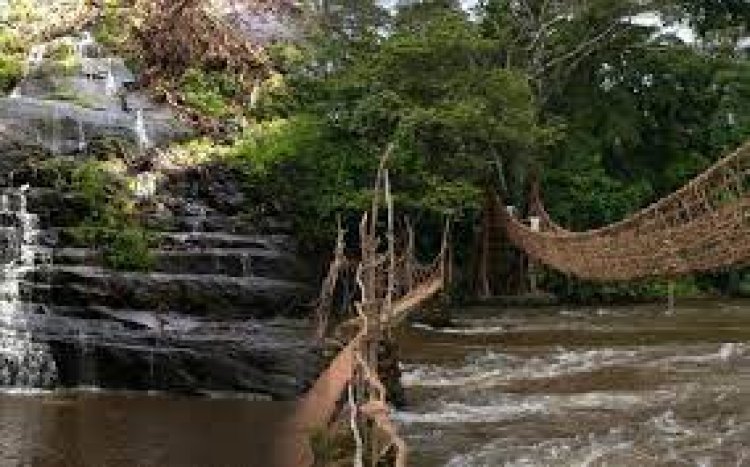 Côte d’Ivoire (Tourisme) : le ministère prévoit l'arrivée de 50 000 Américains