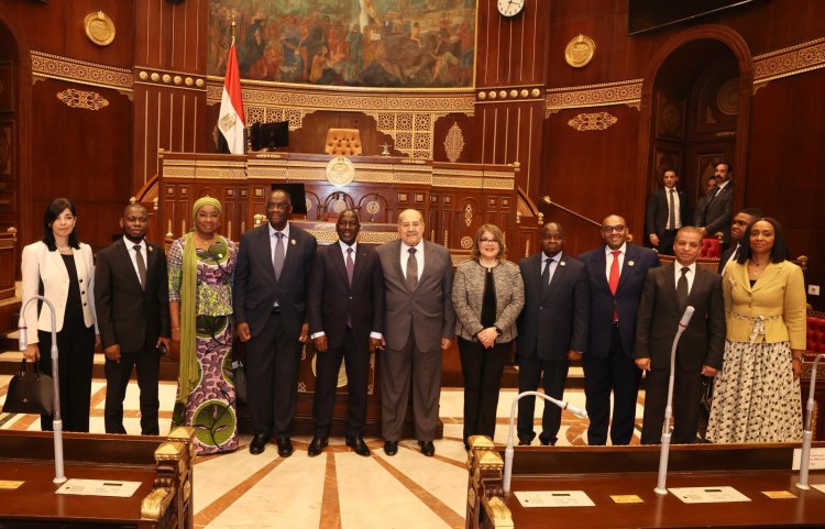 Côte d'Ivoire-Égypte (Coopération parlementaire) / Adama Bictogo opte une redynamisation gagnante