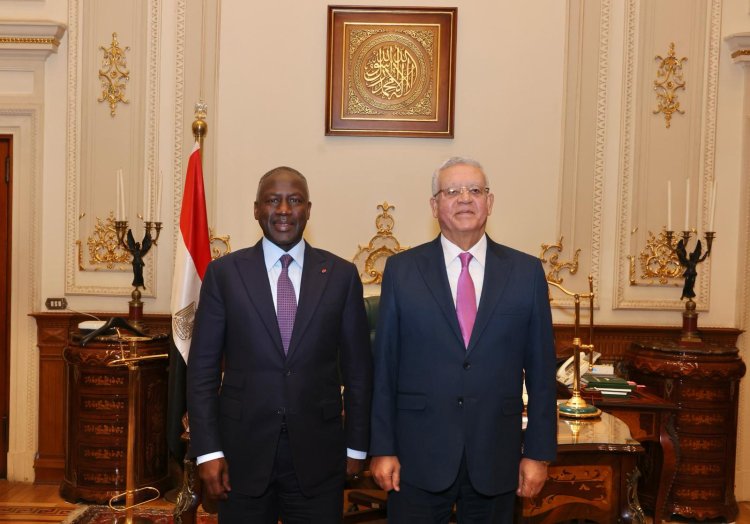 Côte d'Ivoire-Égypte (Coopération parlementaire) / Adama Bictogo opte une redynamisation gagnante