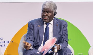 Allemagne (Développement durable) / Mambé fait valoir la position ivoirienne à Hambourg