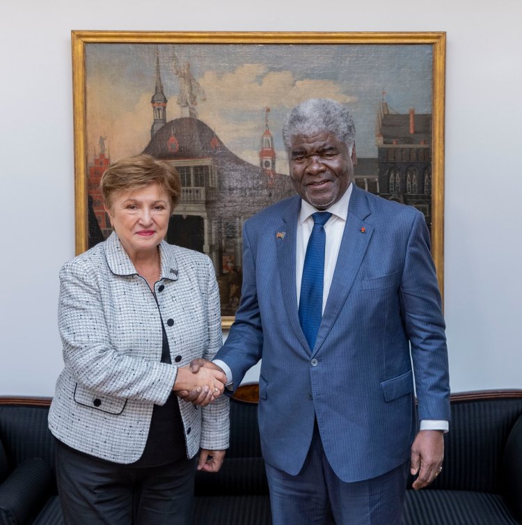Allemagne (Développement durable) / Mambé fait valoir la position ivoirienne à Hambourg