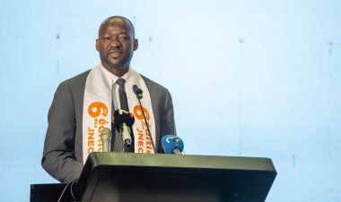 Côte d’Ivoire (Cajou) / Le pays confirme sa montée en puissance dans la chaîne de valeur