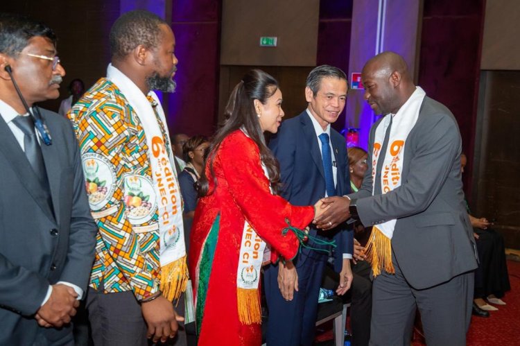 Côte d’Ivoire (Cajou) / Le pays confirme sa montée en puissance dans la chaîne de valeur