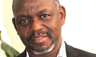 Côte d’Ivoire (Contribution) / « Peut-on être fier du parcours des pays d’Afrique… ?» (Laurent Kouassi, observateur du monde politique)