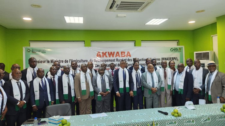 Côte d’Ivoire (Agriculture) / CNRA : Bruno Koné félicite la direction générale pour la qualité du travail