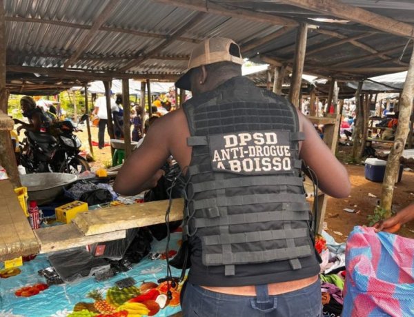 Côte d’Ivoire (Opération Épervier 11) / Sud-Comoé : environ une tonne de médicaments falsifiés saisie